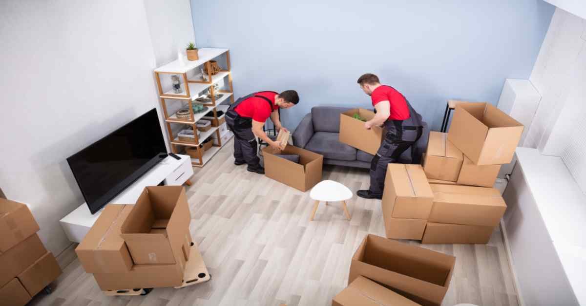 Read more about the article Simplifying Office Shifting Services